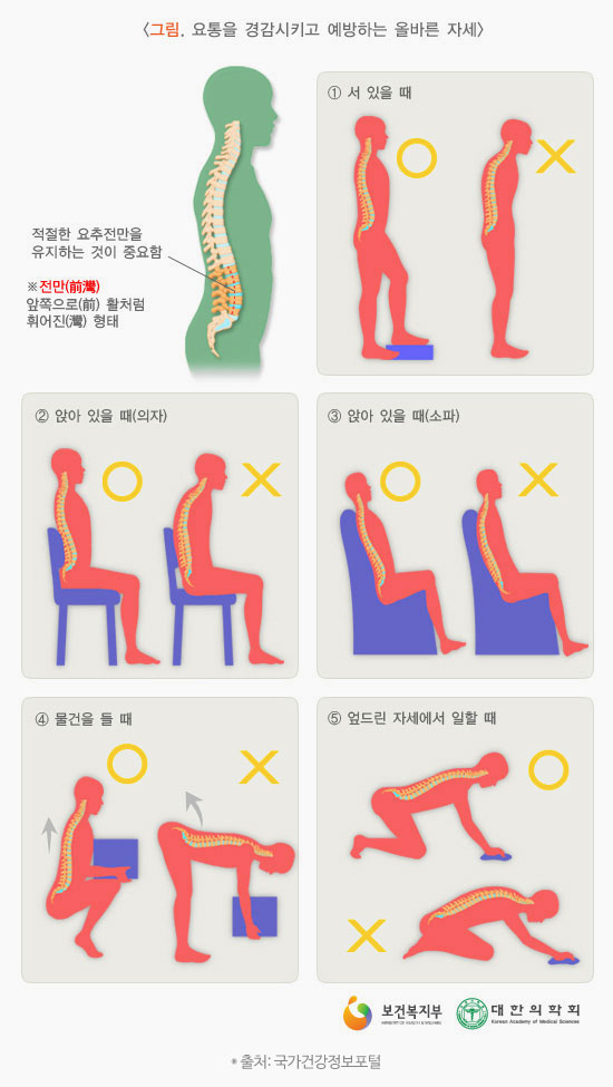 만성 목·허리 통증의 원인